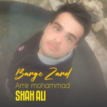 دانلود آهنگ جدید امیرمحمد شاه علی به نام برگ زرد